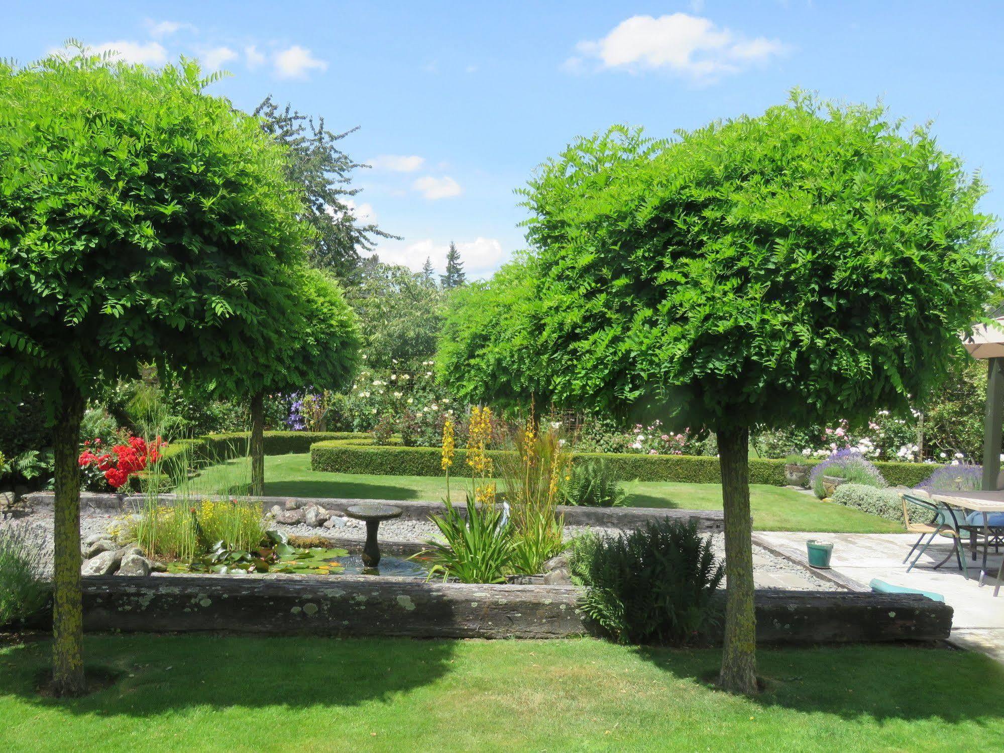 Bed and Breakfast Marchmont Gardens Ханмер-Спрингс Экстерьер фото