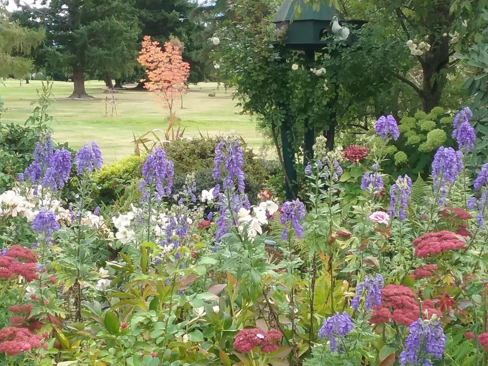 Bed and Breakfast Marchmont Gardens Ханмер-Спрингс Экстерьер фото